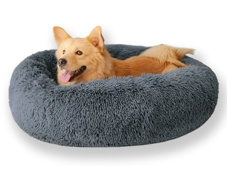 Donut Dog Bed